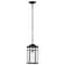 Nuvo Raiden Outdoor Hanging Lantern 1 Light Matte Black 60/5759 - alternate 5